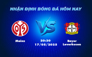 mainz bayer leverkusen 17 05 bundesliga
