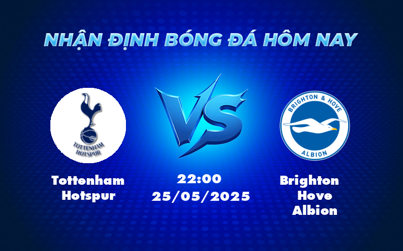 tottenham hotspur brighton hove albion 25 05 ngoai hang anh